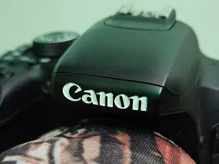 Canon, 800D