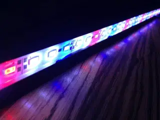 LED til akvarier