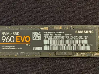 250 GB Samsung 960 EVO NVMe SSD.
