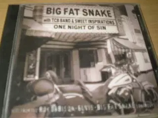 BIG FAT SNAKE. On Night Of Sin.