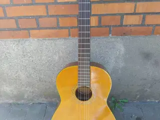 Guitar. Santana