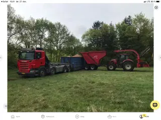 Flis / Miniflis / Stokerflis