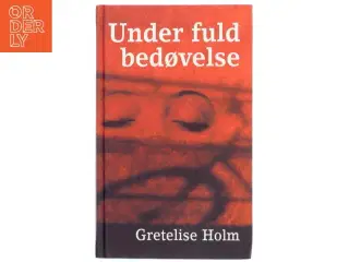 Under fuld bedøvelse af Gretelise Holm (f. 1946) (Bog)