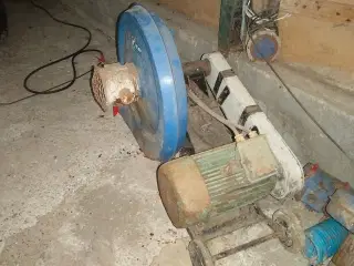 Kongskilde TRL 150 med cellesluse