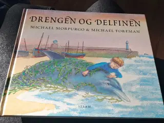 Drengen og delfinen 