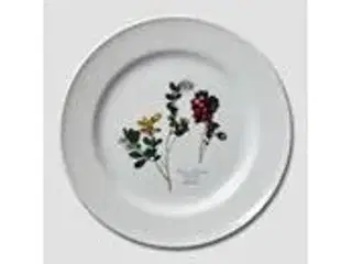 Faxe Platter - Flora Danica - RETRO