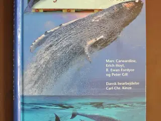 hvaler og delfiner fra hele verden, af marc carwar