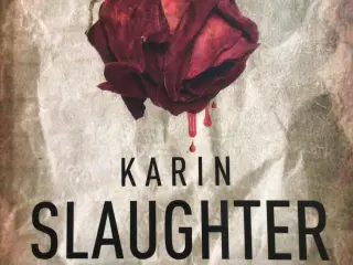 Karin Slaughter : I Skjul