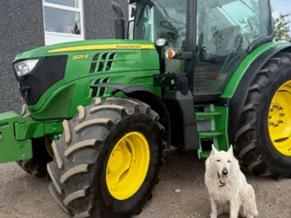 John Deere 6125R GPS KLAR, TLS, FULD FRONTVÆGT
