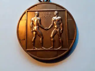 Medaljon - Genforeningen.