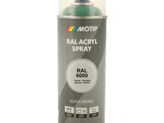 Motip Ral 6000 high gloss patina green