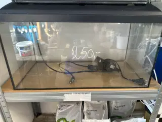 Akvarie
