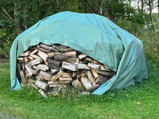 Brænde 25-30 cm stykker