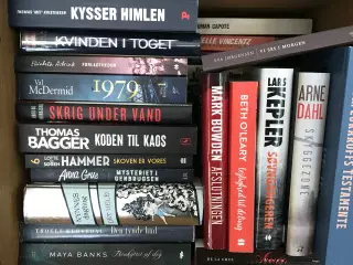 Blandede romaner bla. Lars Kepler