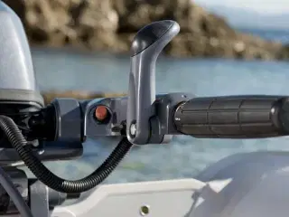 Yamaha F9,9
