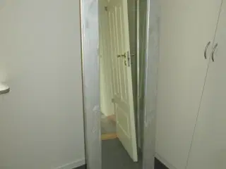 FIGURSPEJL