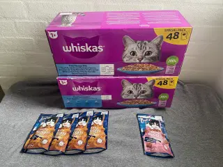 Kattemad 🐈