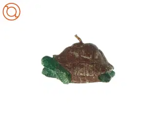 Skildpadde starinlys