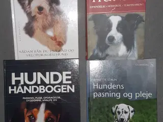 Bøger om hunden 4 stk. samlet pris.