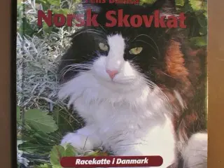 norsk skovkat, emne: dyr