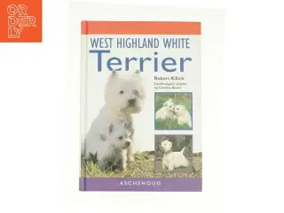 West hightland white terrier (bog)