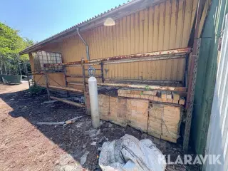 Pallereol