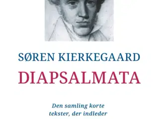 Diapsalmata, Søren Kierkegaard