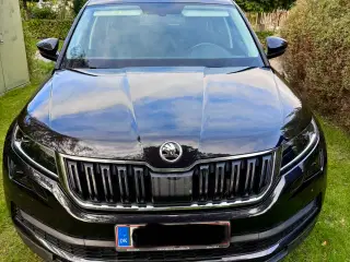 Flot Kodiaq med  ny keramisk coating