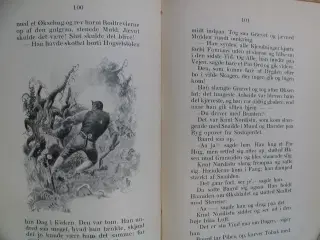 Jacob B. Bull. Fonnaas-folket. fra 1902