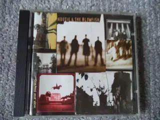 Hootie & The Blowfish ** Cracked Rear View        