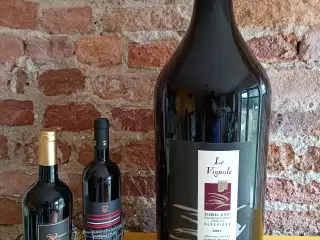 Rødvin 12 Liters Flaske Barbera D'Asti 