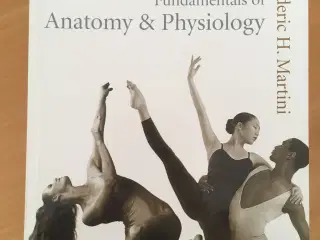 Fundamentals of Anatomi&Physiology