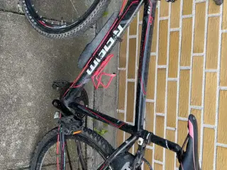 Cykel 