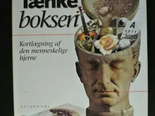 tænkeboksen. kortlægning af den menneskelige hjern