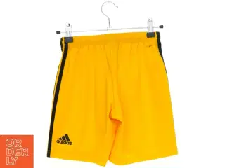 Adidas shorts (str. 140 cm)