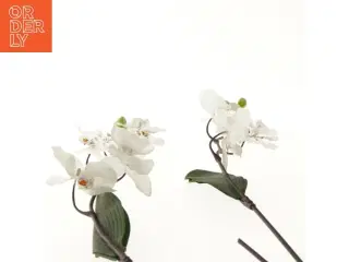 Kunstige orkidéblomster (str. 80x20 cm)