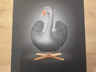 Plakat fra Brainchild str.70X100 cm