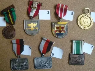 Diverse medaljer (11)