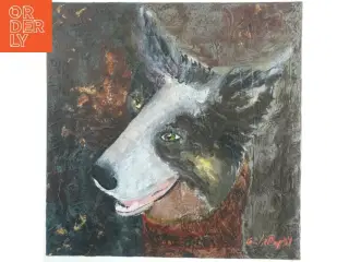 Maleri af hund (str. 50x50 cm)