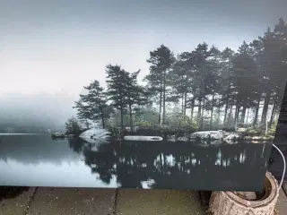 Billede. Lærredsprint 