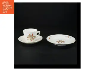 Porcelænskopper og underkopper fra Bing Og Grøndal (str. 15 x 9 cm)