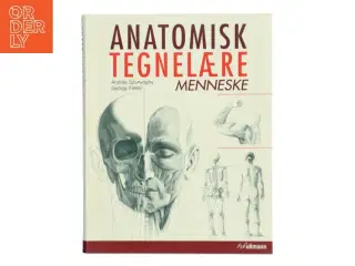 Anatomisk tegnelære : Menneske af Gyrgy Fehér (Bog)