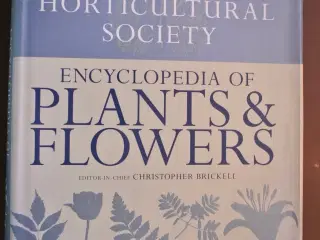 encyclopedia of plants and flowers, edited by chri