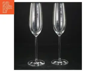 Champagneglas, Schott Zwiesel fra Schott Zwiesel (str. 25x7 cm)