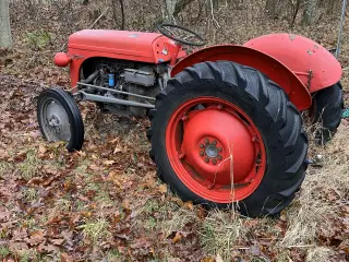2 ferguson traktorer til salg