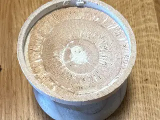 Spids glaskuppel på træfod