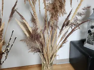 Tørret blomster