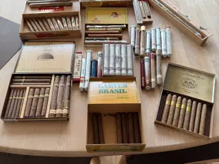 cigarsamling