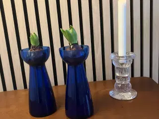 Hyacintglas i blå og rød.