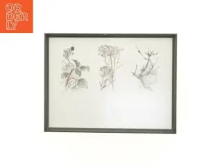 Indrammet kunsttryk (str. 40 x 30,5 cm)